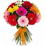 Квіти по виду