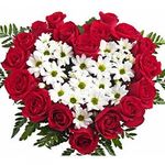 КОМПОЗИЦІЇ