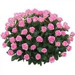 Корзины из роз