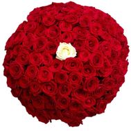 100 червоних троянда з одного білої