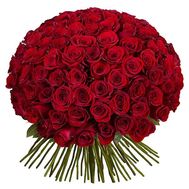 101 червона імпортна троянда