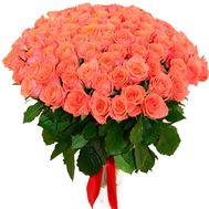 101 помаранчеву троянду