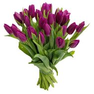 25 purple tulips
