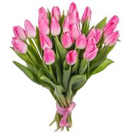 25 pink tulips