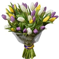 31 multi-colored tulip