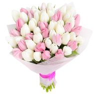 51 white and pink tulip