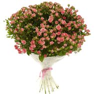 51 рожева кущова троянда