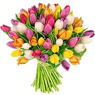 Large bouquet of tulips