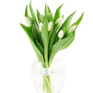 Bouquet of 11 Tulips