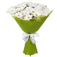 Букет із 9 ромашкових хризантем