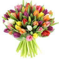 Bouquet of 51 tulips