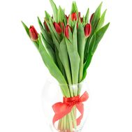 Bouquet of red tulips