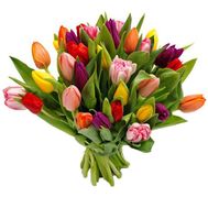 Bouquet of tulips of different colors