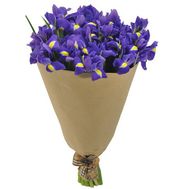 Іриси в папері