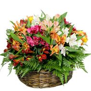 Корзина альстромерий