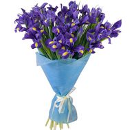 Гарний букет ірисів