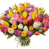 Bouquet of 101 tulips
