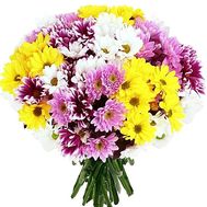 Mixed bouquet of chrysanthemums