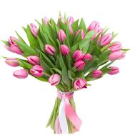 Delicate pink tulips