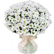 Delicate bouquet of chamomiles