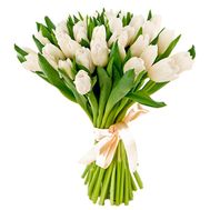 A charming bouquet of white tulips