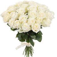 Beautiful white roses