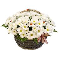 Ромашки в корзине