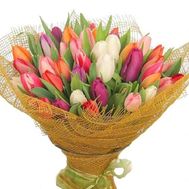 Fairy tulips bouquet