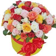 51 multi-colored rose in a box