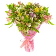 Bouquet of 25 alstromeries