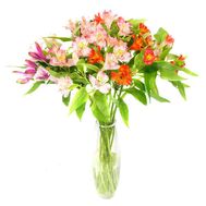 Букет із 13 альстромерій