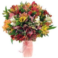 Bouquet of 51 alstroemerias