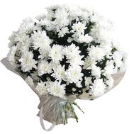 Bouquet of 21 white chrysanthemums