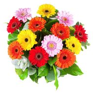 Букет из 15 гербер
