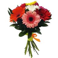 Букет из 7 гербер