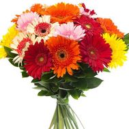 Bouquet of 35 gerberas