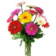 Букет из 11 гербер