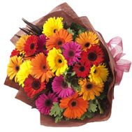 Bouquet of 25 gerberas