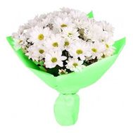 Букет із 7 хризантем