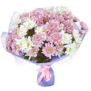 Bouquet of 15 chrysanthemums