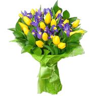 Букет із 8 ірисів і 19 тюльпанів