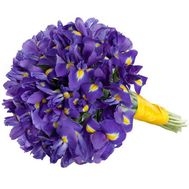 Букет із 51 ірису