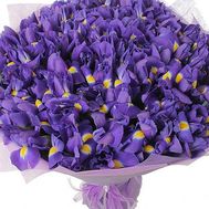 Букет із 101 ірису