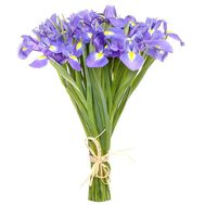 Букет із 25 ірисів