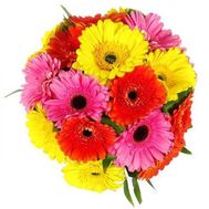 Букет из 19 гербер