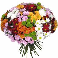 Bouquet of 35 chrysanthemums
