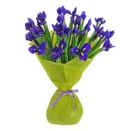 Букет із 21 ірису