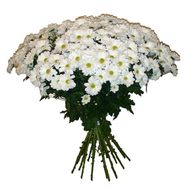 Bouquet of 19 chamomiles