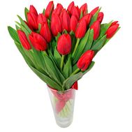 Bouquet of 25 Tulips