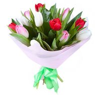 Bouquet of 15 Tulips